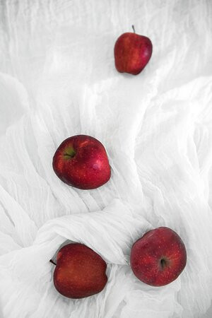 Sophia Finikia Villas主图