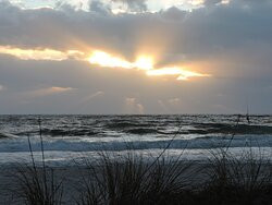 Haley's at Anna Maria Island Inn主图