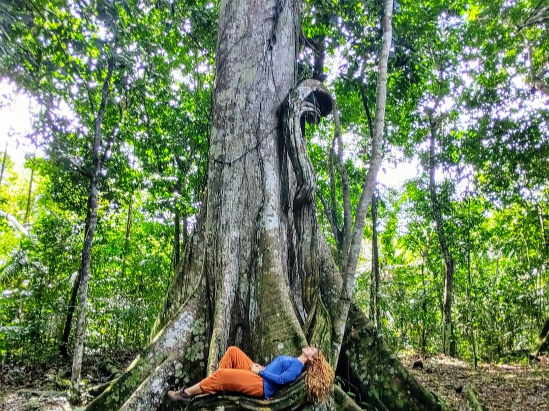Amazon Green Island tour