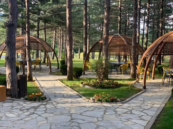 Morine旅游攻略图片