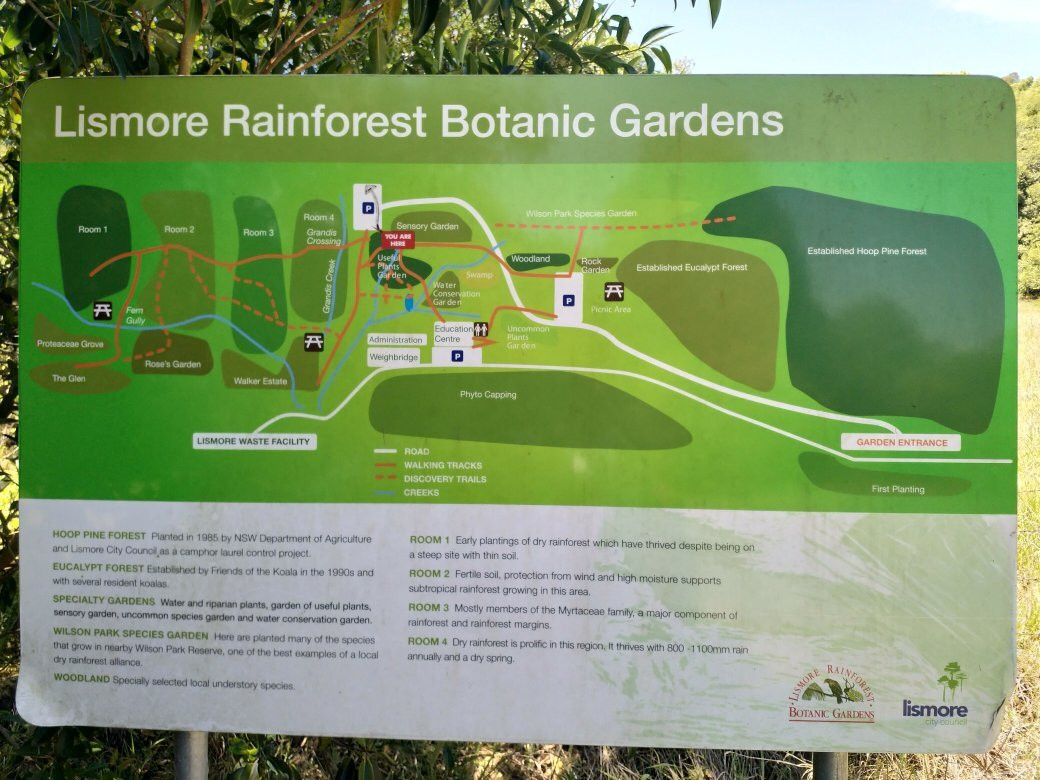 Lismore Rainforest Botanic Gardens-利斯莫尔必去景点