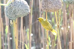 海沙小屋&会议中心主图