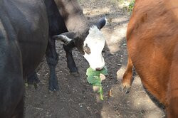 JG Ranch景点图片