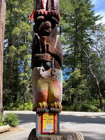 Confusion Hill Gravity House景点图片