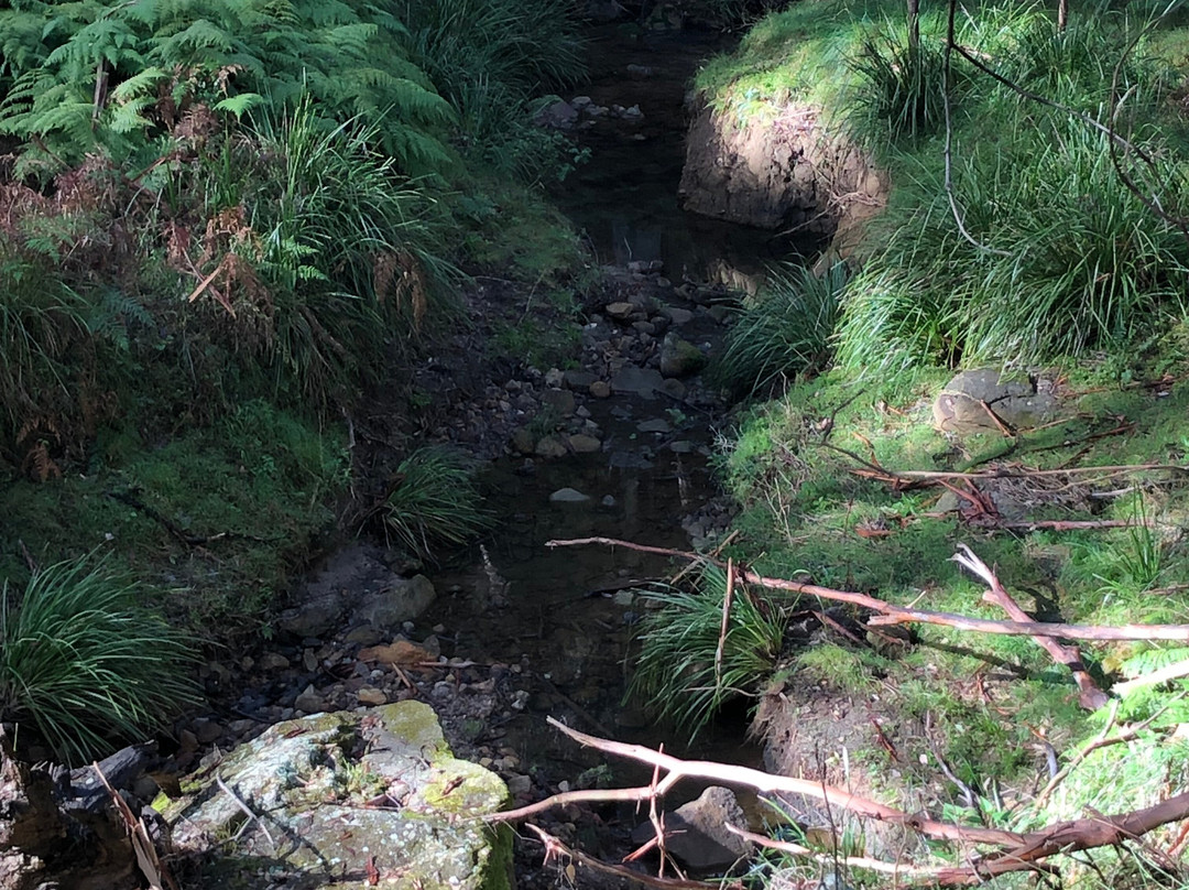 Sun Valley Fire Trail-Valley Heights必去景点