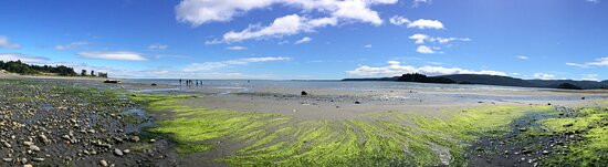 Premier Creek Lodging主图