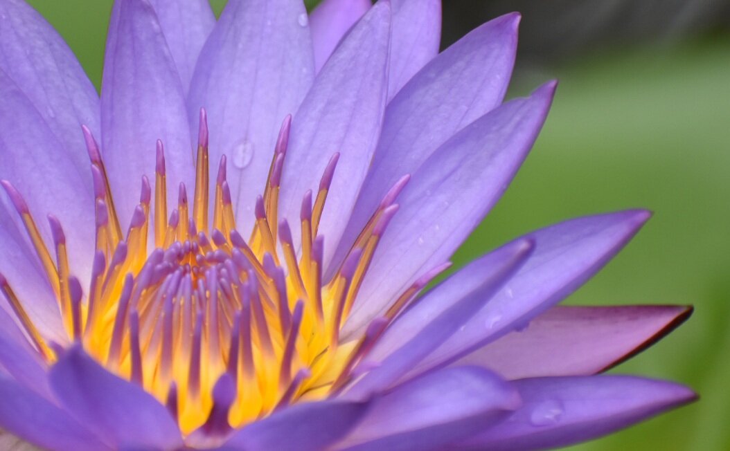 Hotel G Excursion-官方