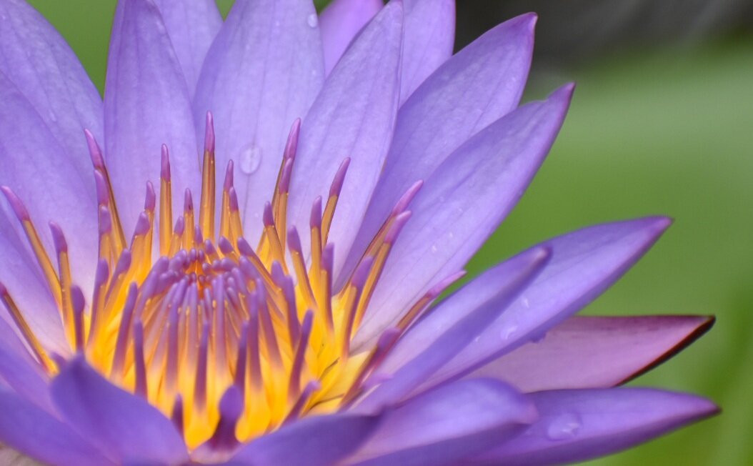 Hotel G Excursion主图