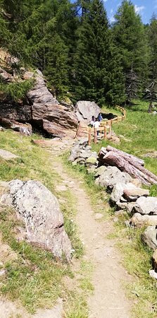 Experience Val di Sole景点图片