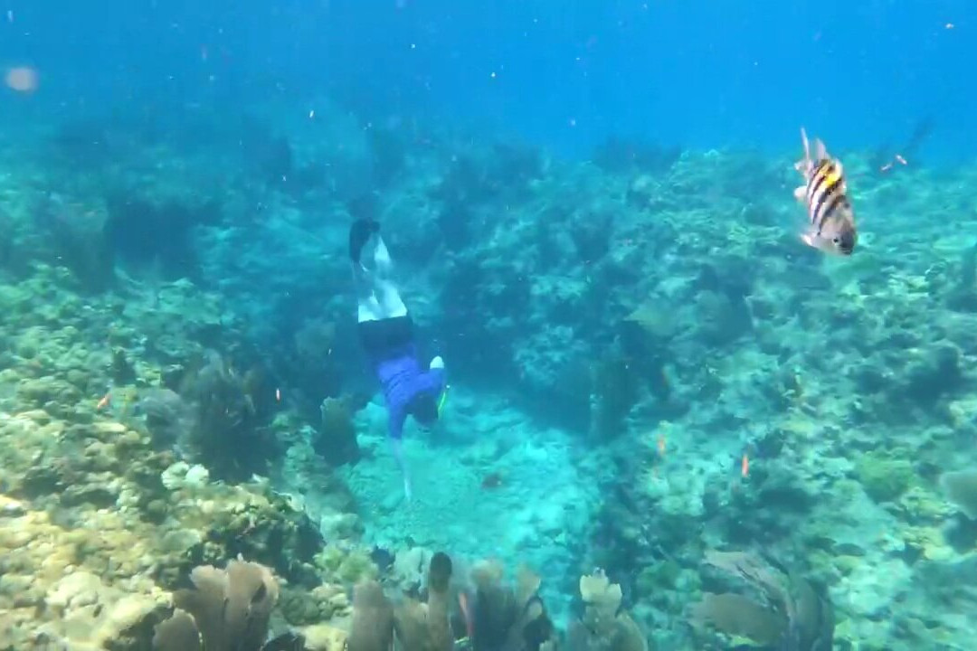Looe Key Dive Center景点图片