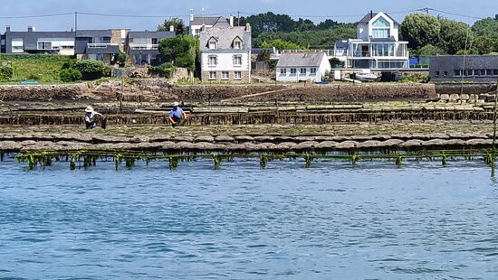 Iles et Rivages-La Trinite-sur-Mer必去景点