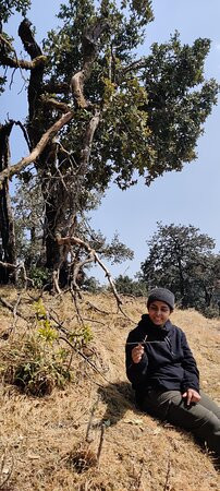 Forest Therapy India-Pangot必去景点