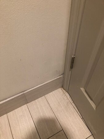 Days Inn by Wyndham Americus主图