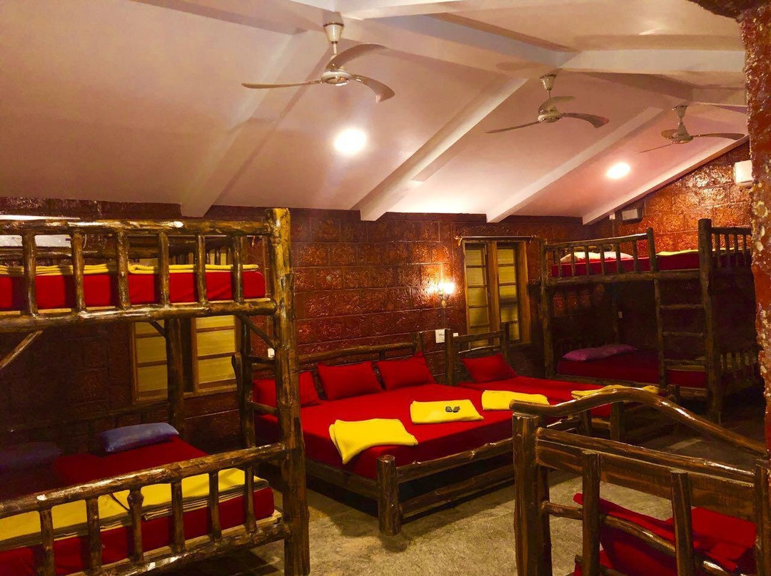 Dandeli Jungle Resort