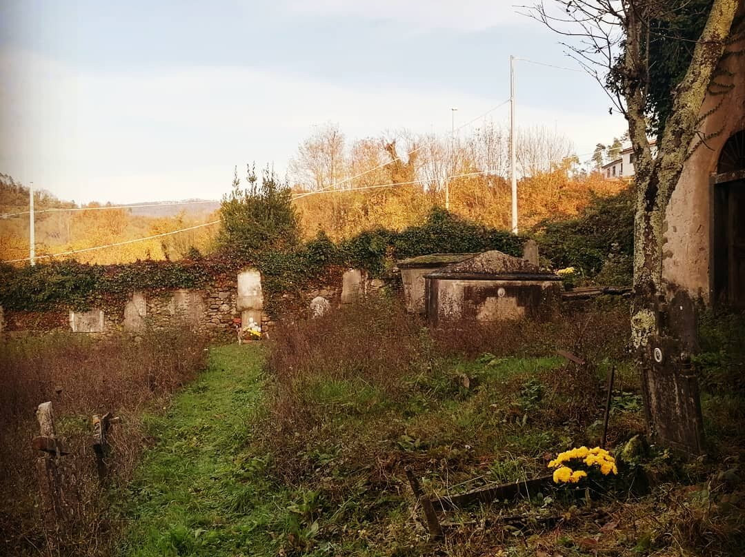 Cimitero Abbandonato Di Riccò Del Golfo