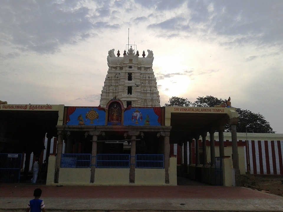 Venkatachalapathy Temple景点图片