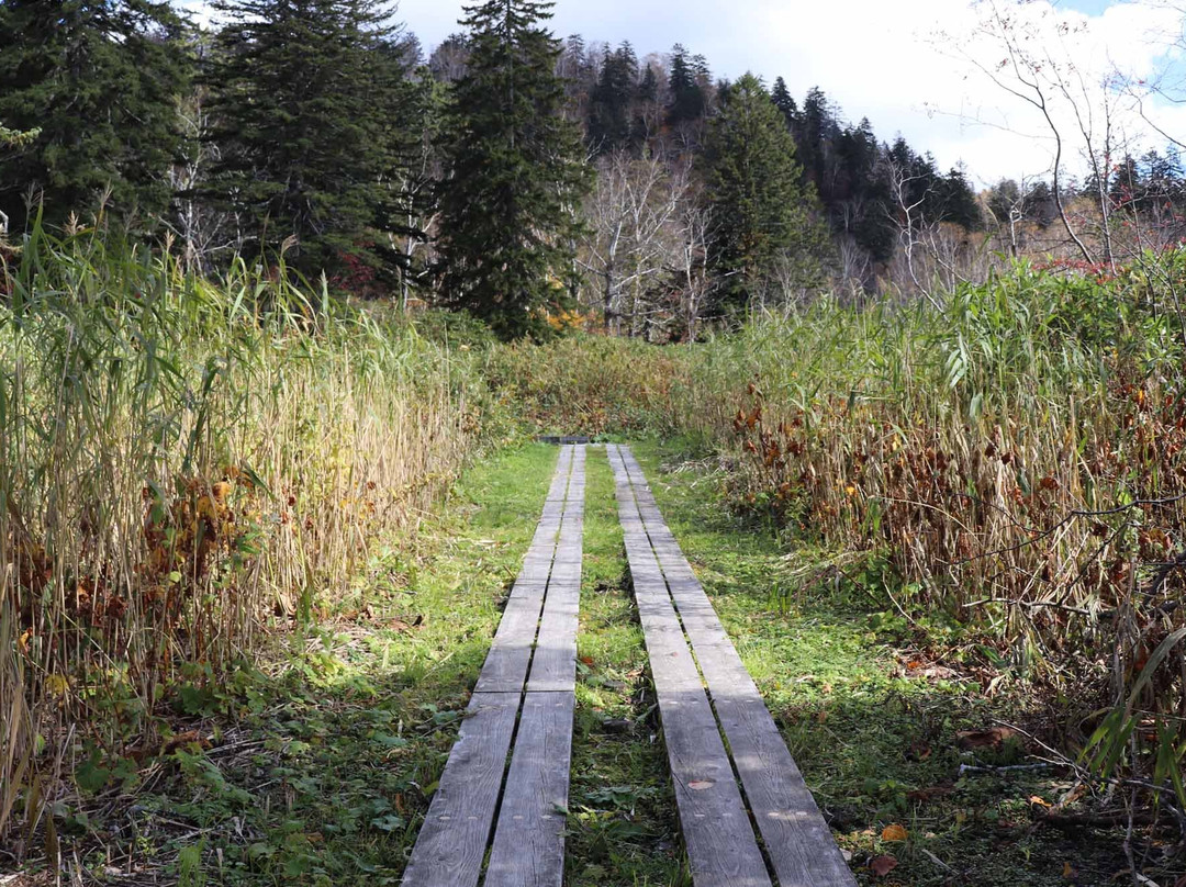 东川町旅游景点-Yukomanbetsu Swamp
