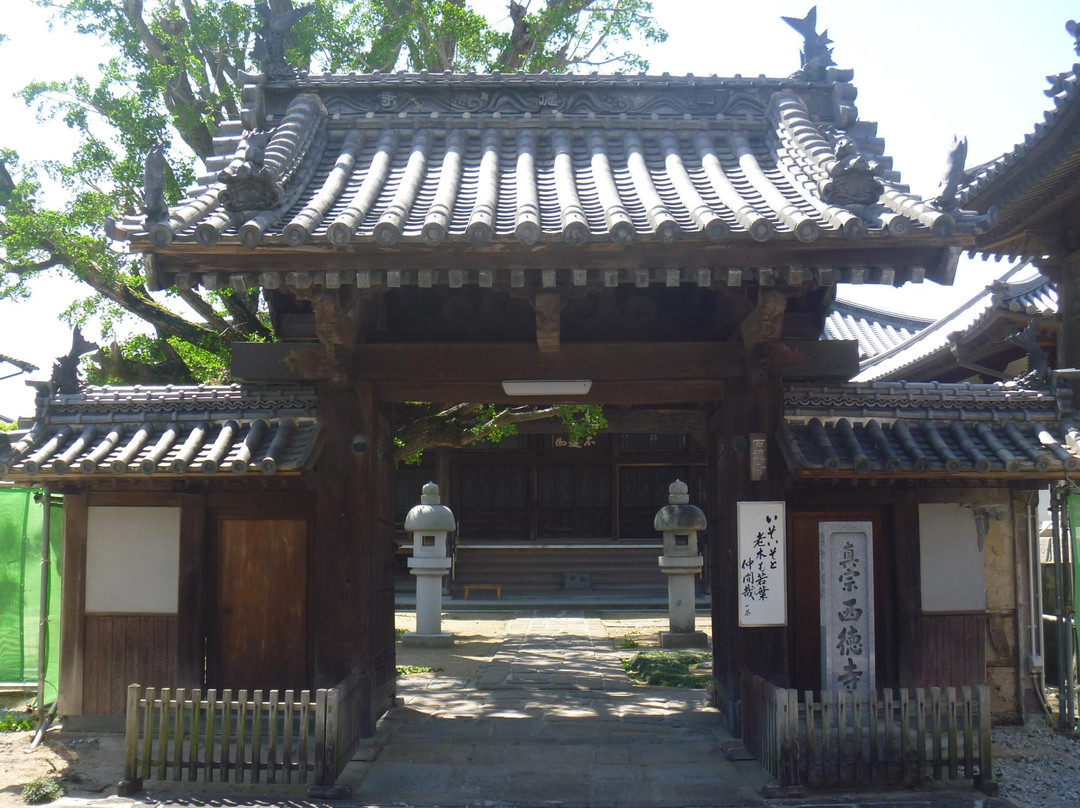 Saitokuji Temple景点图片