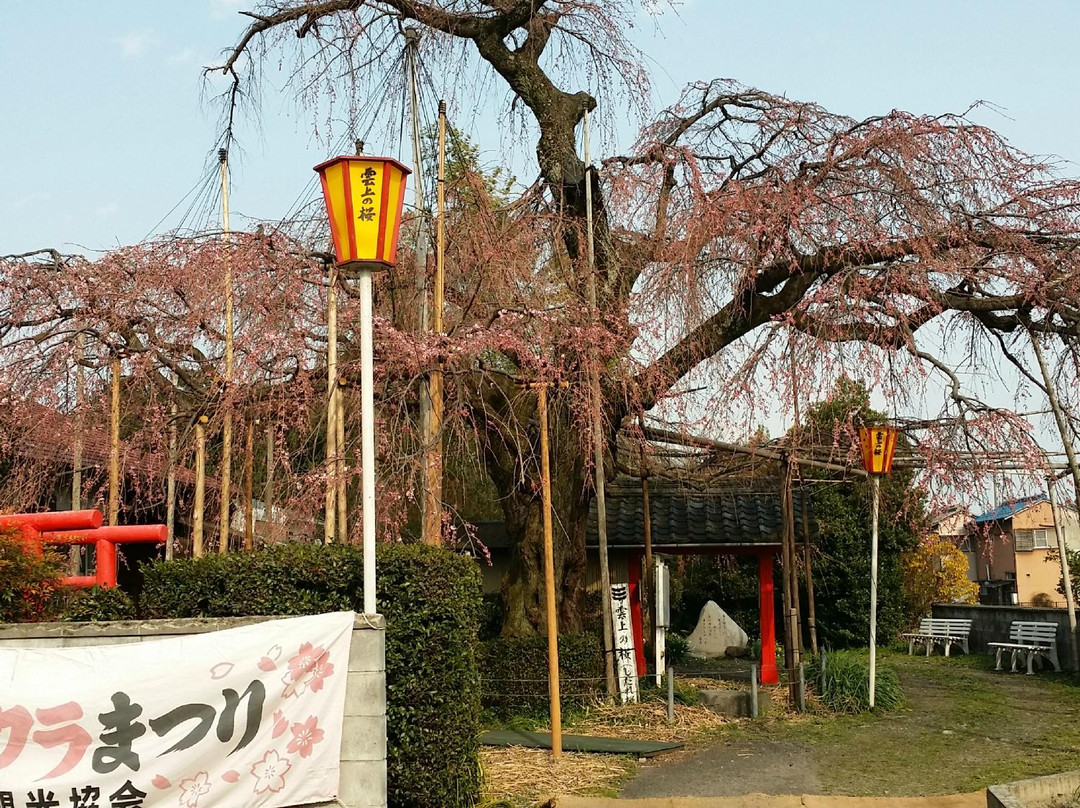 Unjo No Sakura景点图片