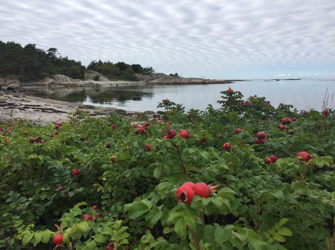 Ytre Hvaler National Park景点图片
