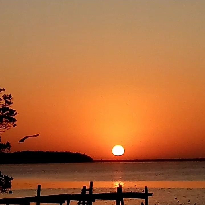 Buenavista旅游攻略图片