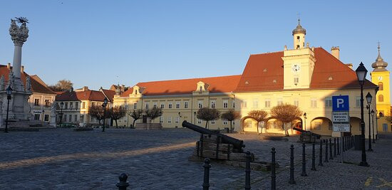 Trg Svetog Trojstva-奥西耶克必去景点