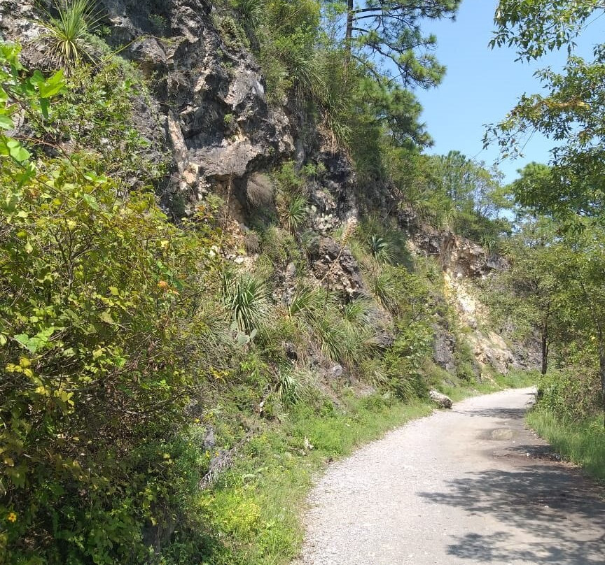 伊克罗杰克齐宾公园-圣佩德罗加尔萨加西亚镇必去景点