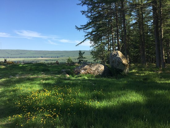 Nine Stanes Stone Circle-Banchory必去景点