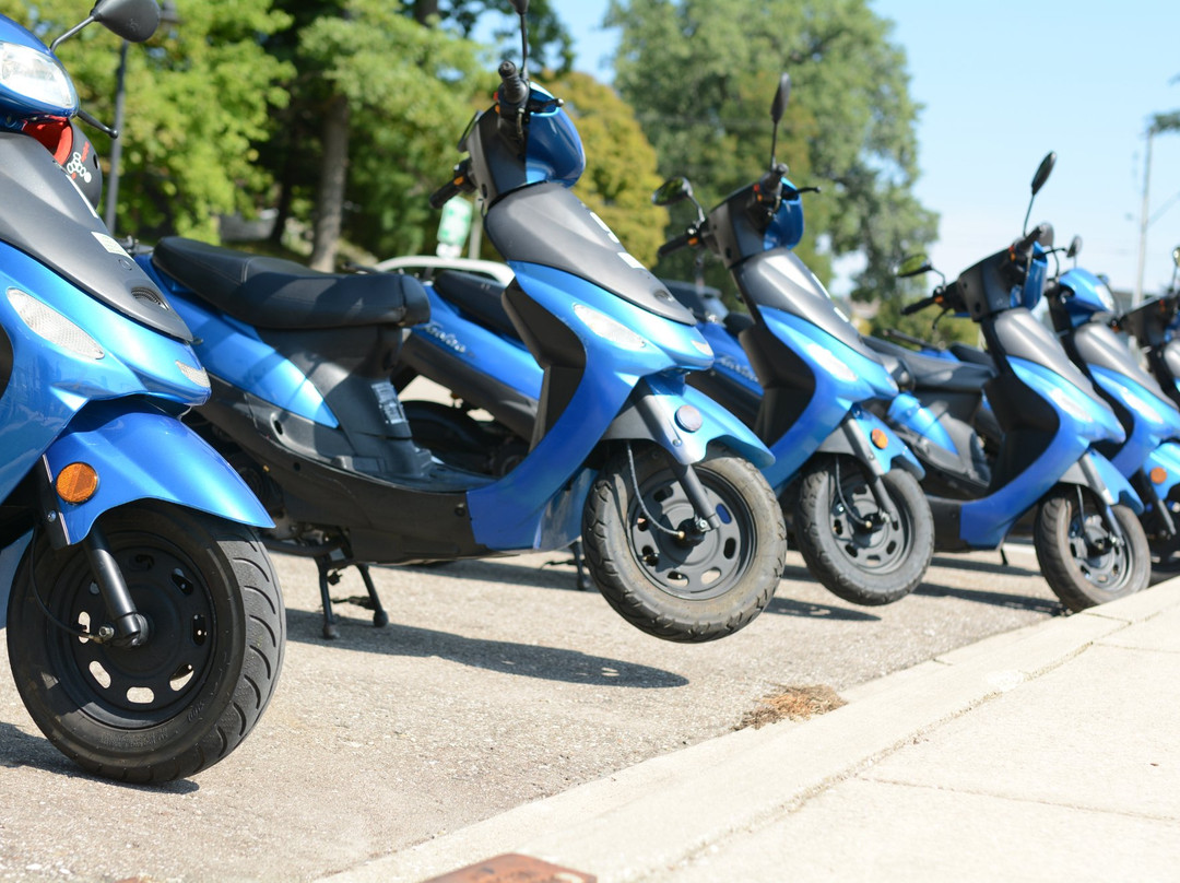 South Haven Scooter Rental,LLC.-南黑文必去景点