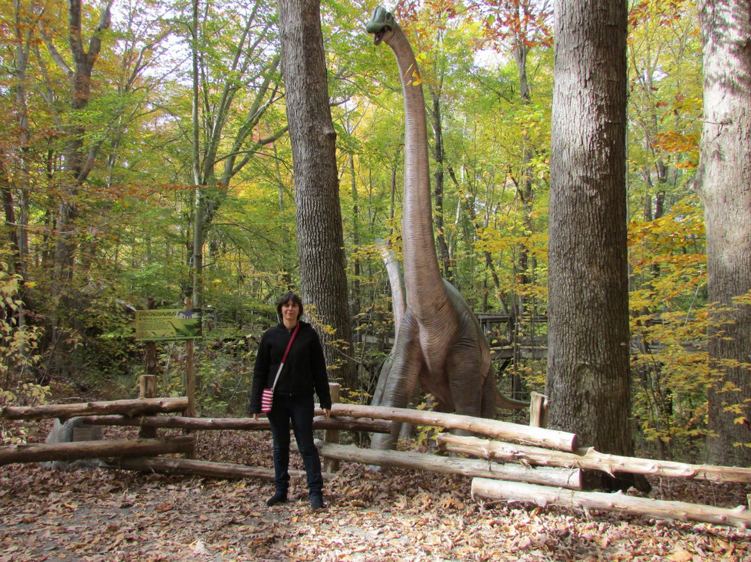 探索纽波特纽斯