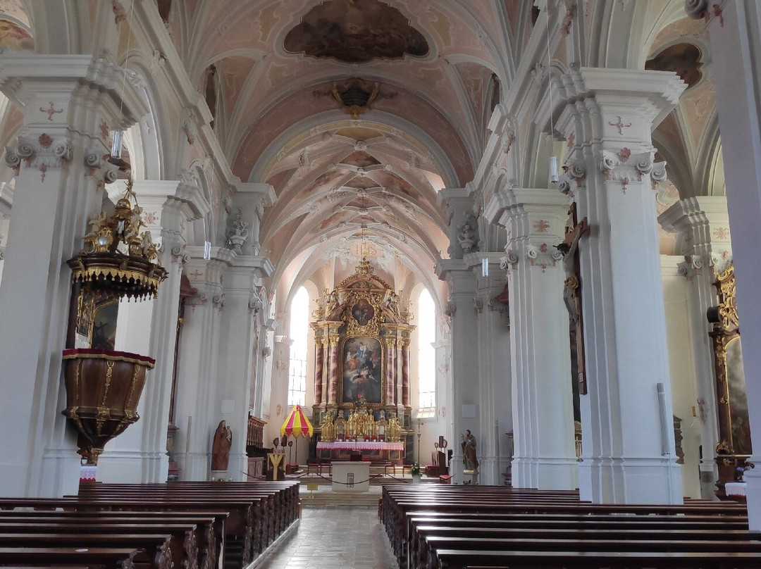 Stiftsbasilika St. Vitus und Deocar景点图片