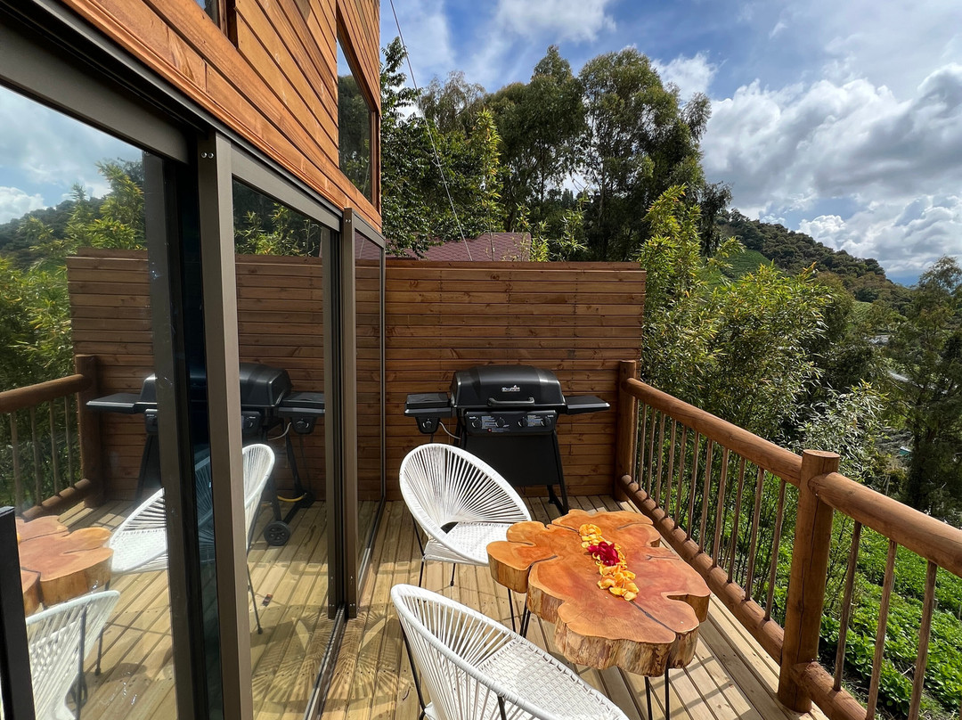 Madeira Glamping