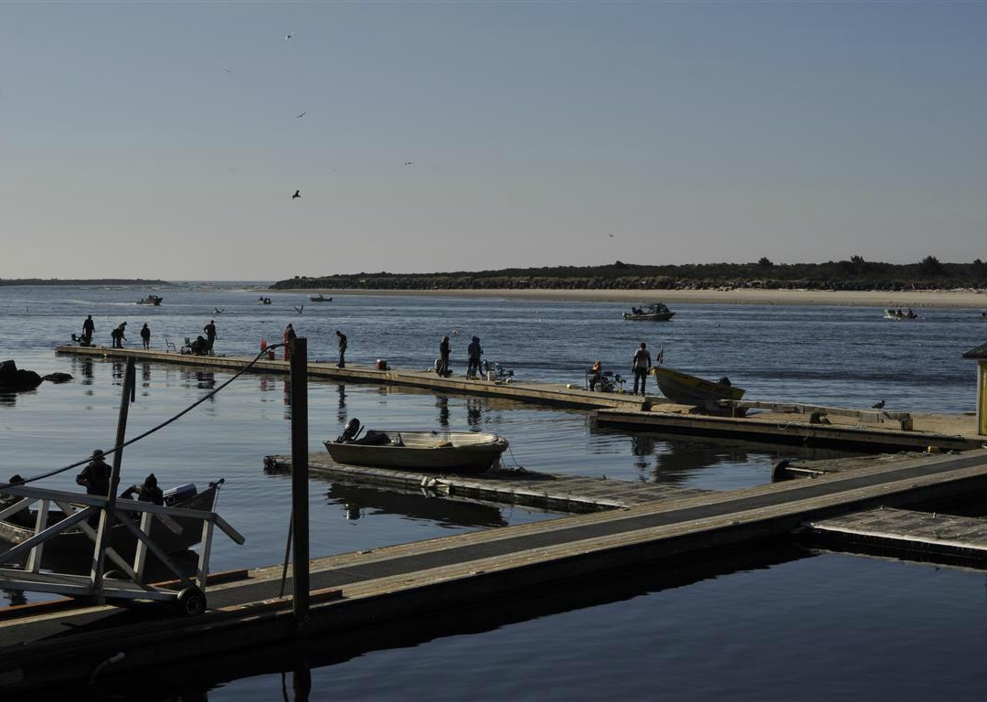 Jetty Marina景点图片