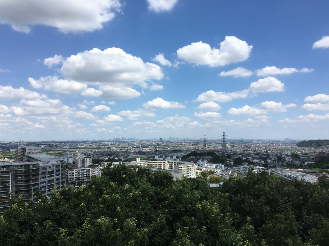 Shiroyama Park景点图片