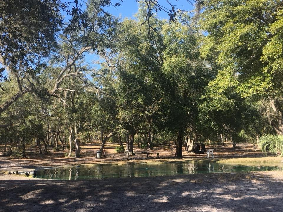 Bark Central Dog Park