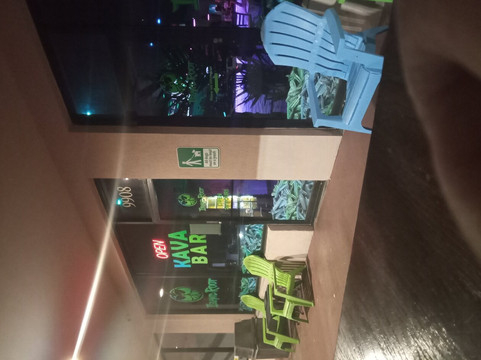 Island Root Kava Bar-西棕榈滩必去景点