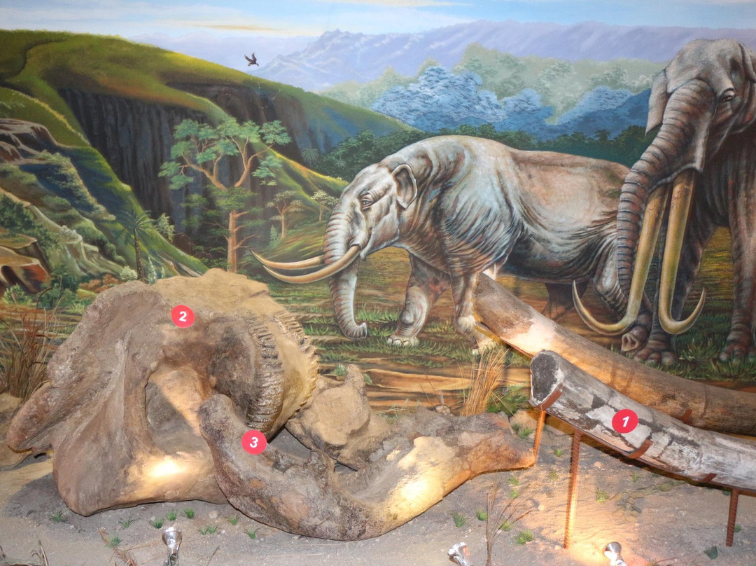 桑义兰早期人类遗址