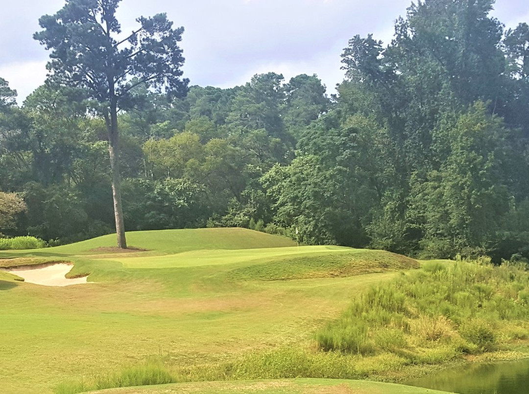 Forest Hills Golf Club-奥古斯塔必去景点