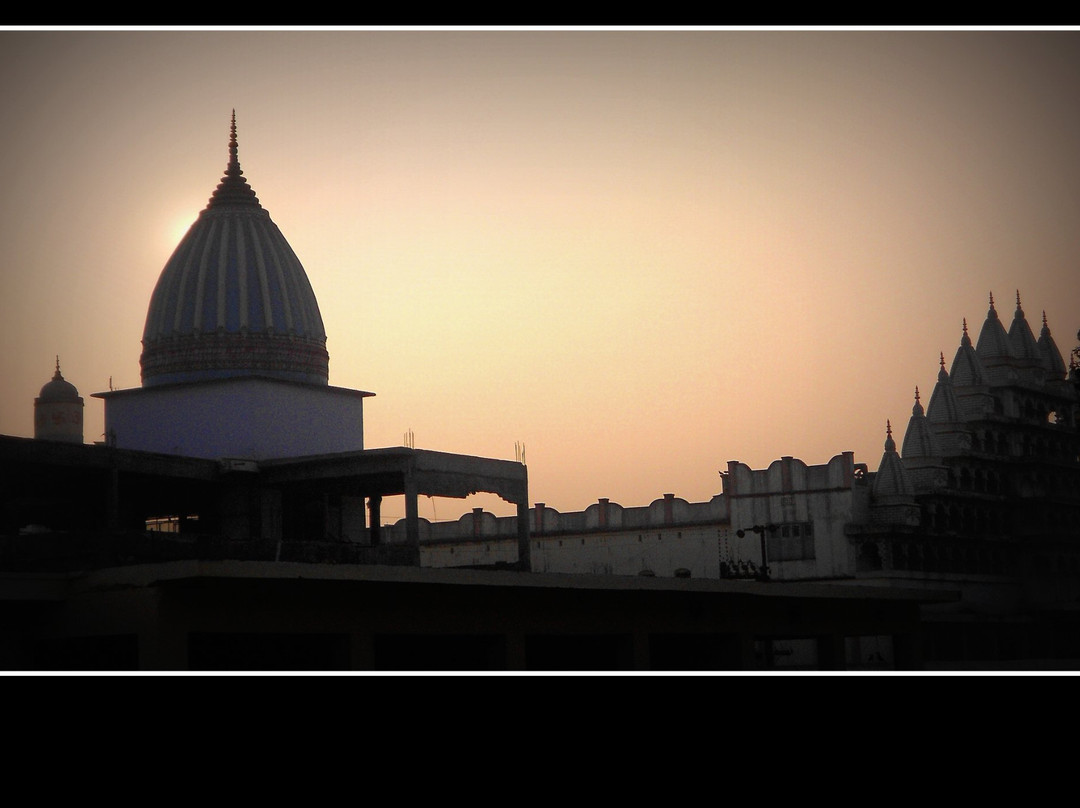 Vaasupujya Bhagwan Mahavir Jain Mandir景点图片