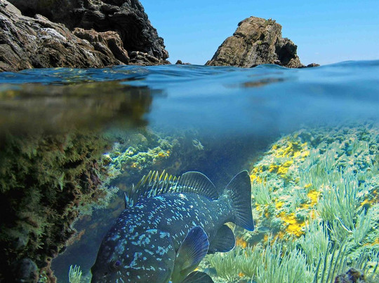 Ondine Escape - One Day Activities-马拉特克西必去景点