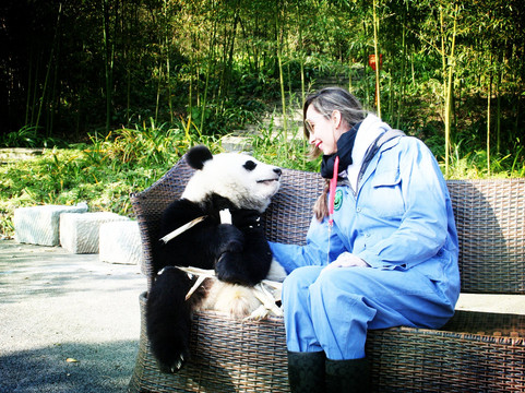 Panda China Go-成都必去景点
