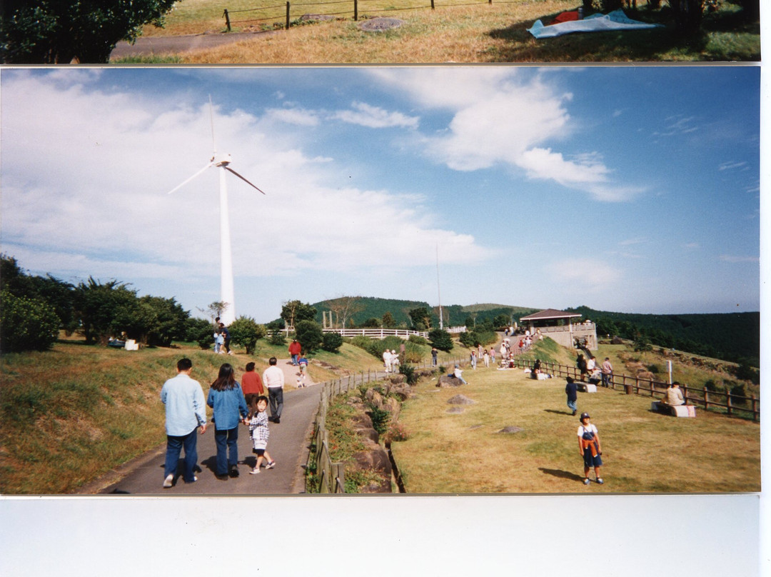 Sazanka Highland Picnic Park景点图片