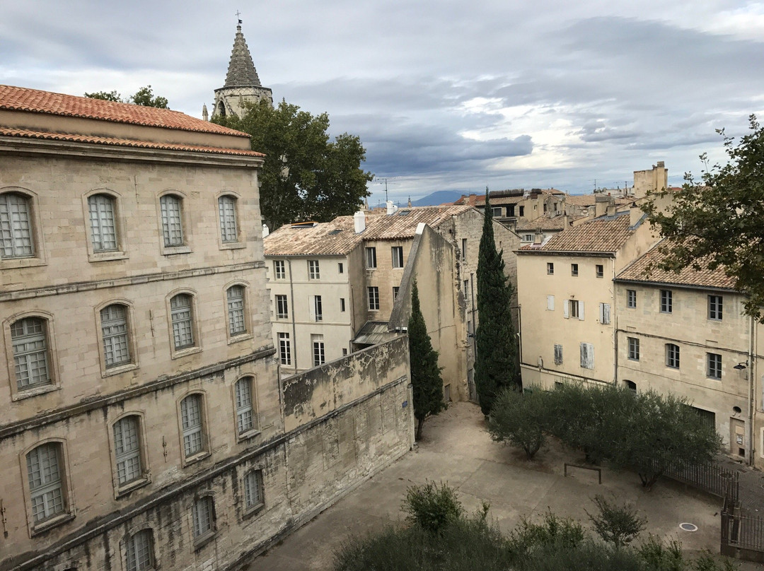 Livrée Ceccano-阿维尼翁必去景点