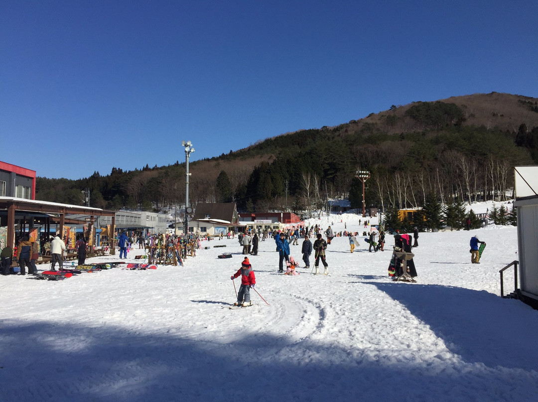 Geihoku Kokusai Ski Resort景点图片