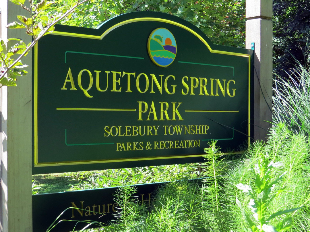 Aquetong Spring Park景点图片