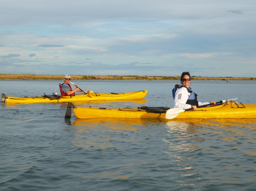 Driftwood Eco Tours-Kaikoura必去景点