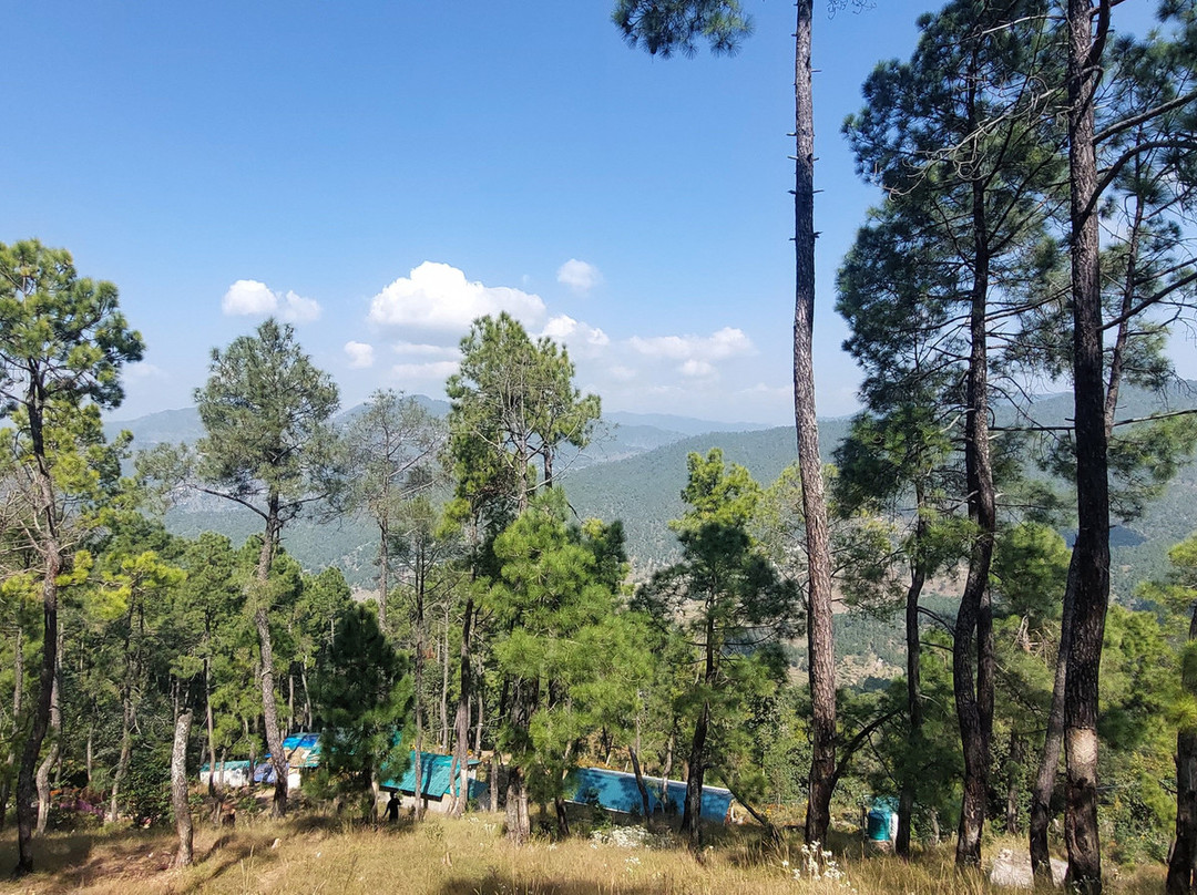 Zenoaks Homestay