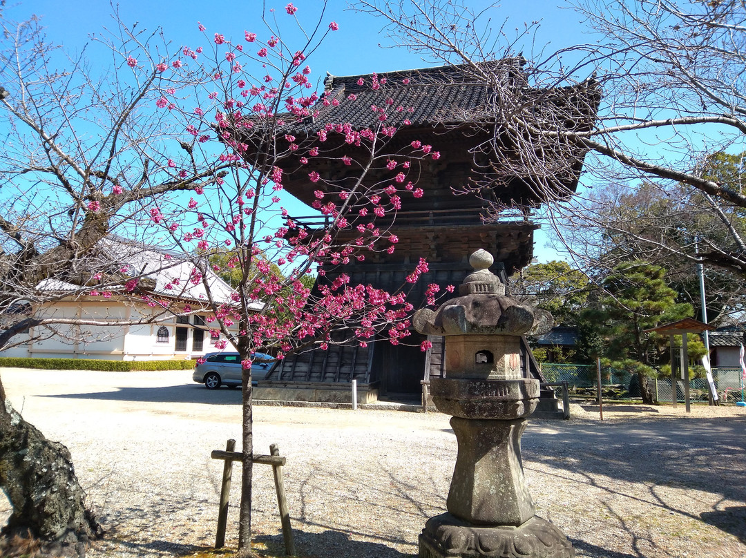 Daijuji Temple景点图片