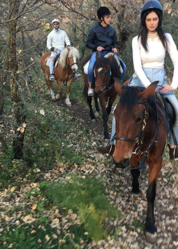Etna Horse Paradise-Belpasso必去景点