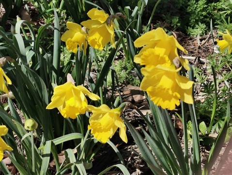 Ruta Senderismo Galapagar - San Lorenzo de El Escorial-Galapagar必去景点